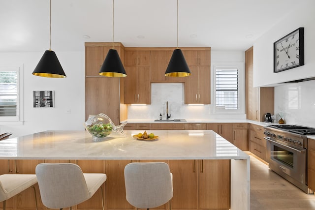 kitchen with a healthy amount of sunlight, high end stainless steel range oven, tasteful backsplash, and a sink