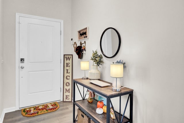 foyer with light hardwood / wood-style floors