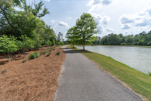 397 Woodgate Way, Summerville, SC 29485 - water view