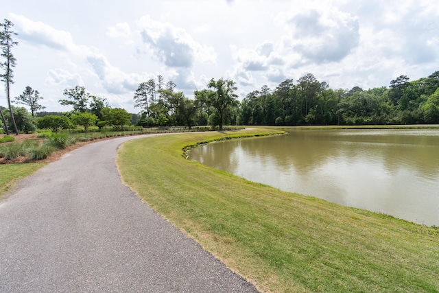 397 Woodgate Way, Summerville, SC 29485 - view of water feature with a view of trees