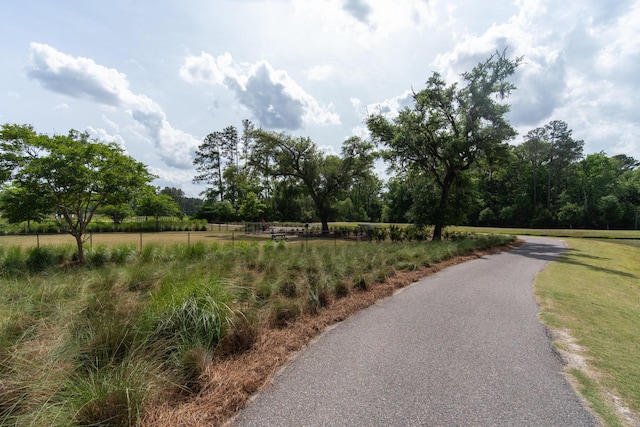 397 Woodgate Way, Summerville, SC 29485 - view of property's community