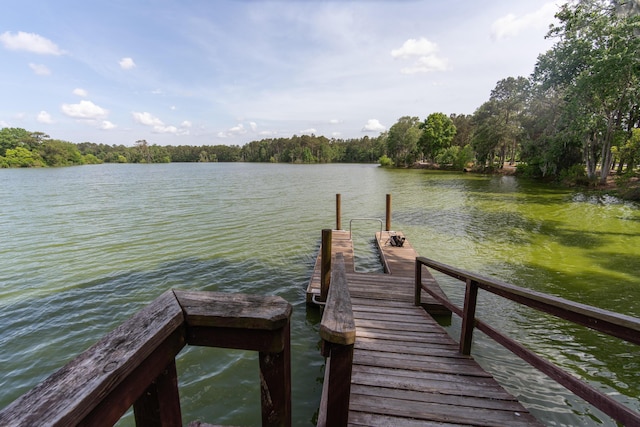 397 Woodgate Way, Summerville, SC 29485 - dock area featuring a water view and a view of trees