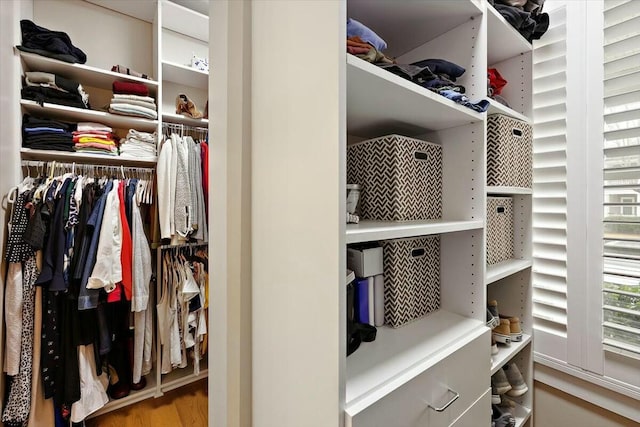 walk in closet featuring wood finished floors