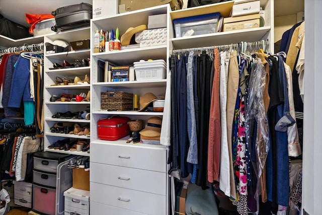 view of walk in closet