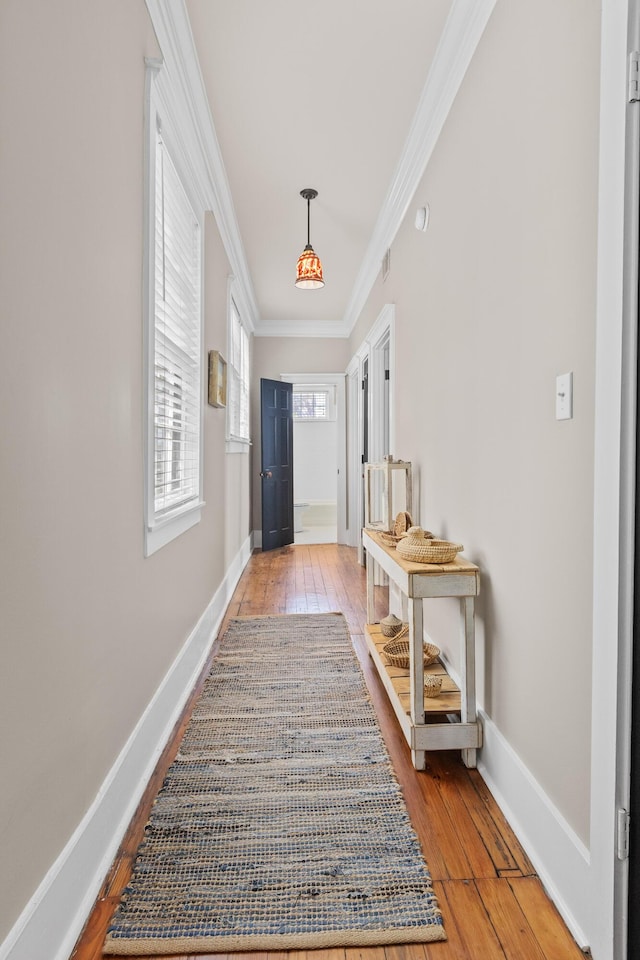 51/2 Kracke St Unit A, Charleston, SC 29403 - entryway featuring crown molding, hardwood / wood-style floors, and baseboards