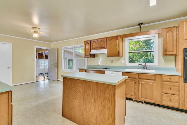 1143 Winborn Dr, Charleston, SC 29412 - kitchen featuring a sink, light floors, a wealth of natural light, and light countertops