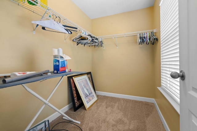 walk in closet featuring carpet floors