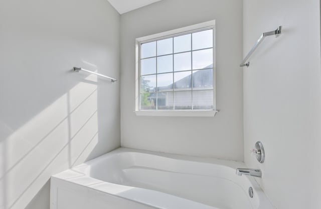 bathroom featuring a bathtub