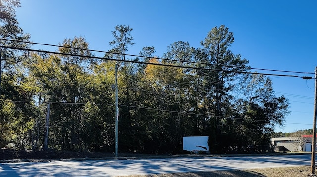 00 W Carolina Ave, Varnville SC, 29944 land for sale