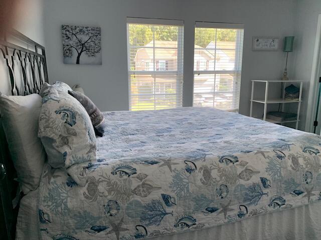 3808 Tupelo Branch Row, Mount Pleasant, SC 29429 - view of bedroom