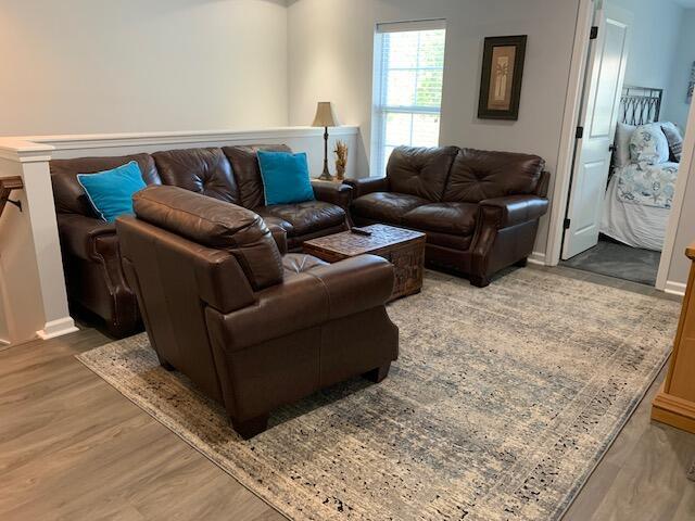 3808 Tupelo Branch Row, Mount Pleasant, SC 29429 - living area with wood finished floors