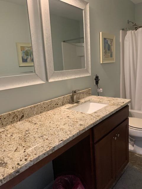 3808 Tupelo Branch Row, Mount Pleasant, SC 29429 - full bathroom with vanity and toilet
