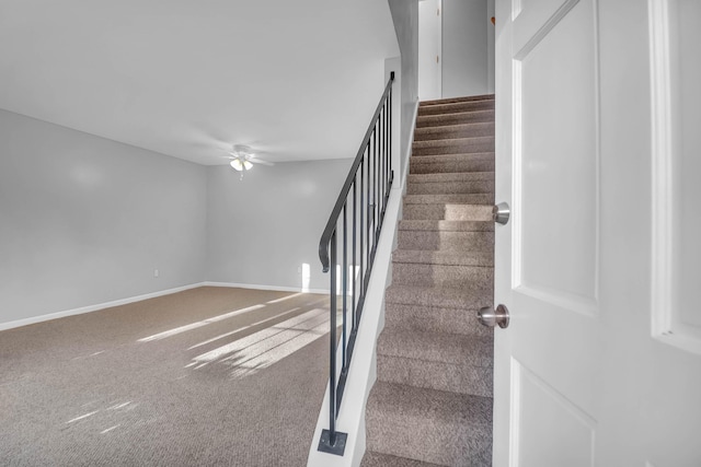 stairway featuring a ceiling fan, carpet, and baseboards