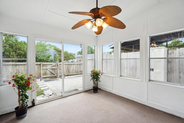 unfurnished sunroom featuring carpet
