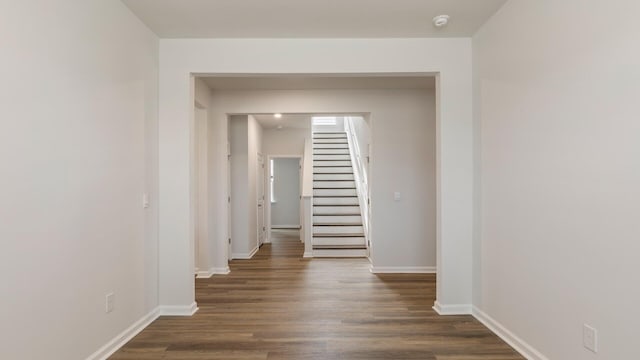 corridor featuring dark wood-type flooring