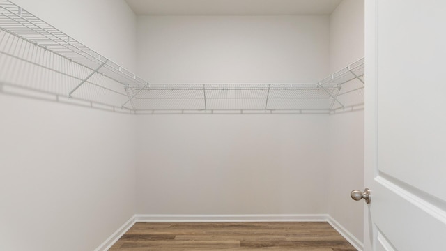 walk in closet with hardwood / wood-style floors