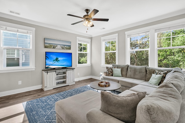 living room featuring ornamental molding, hardwood / wood-style flooring, and ceiling fan