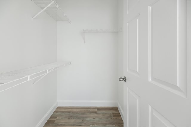 spacious closet featuring dark hardwood / wood-style flooring