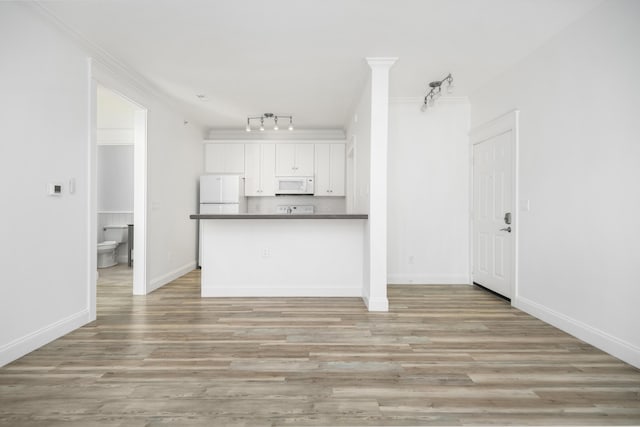 unfurnished living room featuring ornamental molding and light wood-type flooring