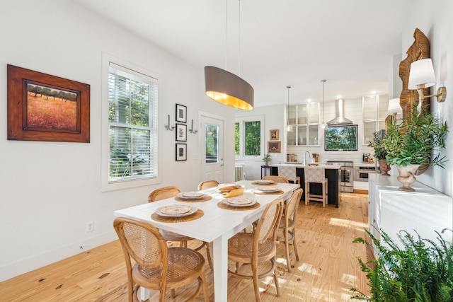 dining space featuring light hardwood / wood-style floors