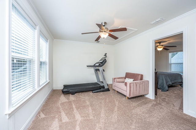 1607 Roustabout Way, Charleston, SC 29414 - workout room featuring ceiling fan, carpet, crown molding, and attic access