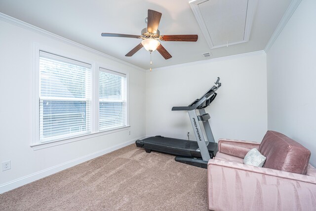 1607 Roustabout Way, Charleston, SC 29414 - exercise room with attic access, carpet, crown molding, and ceiling fan