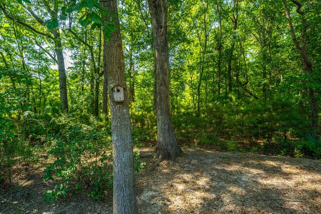 1607 Roustabout Way, Charleston, SC 29414 - view of wooded area