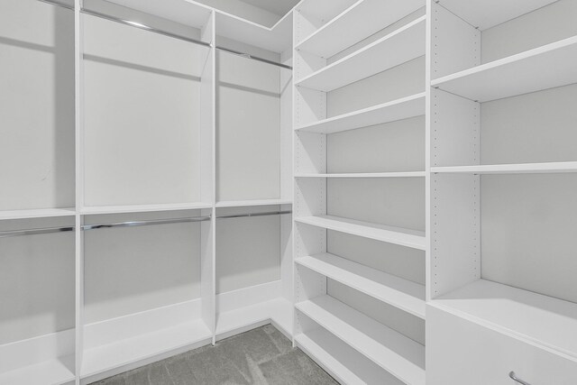 walk in closet featuring carpet flooring