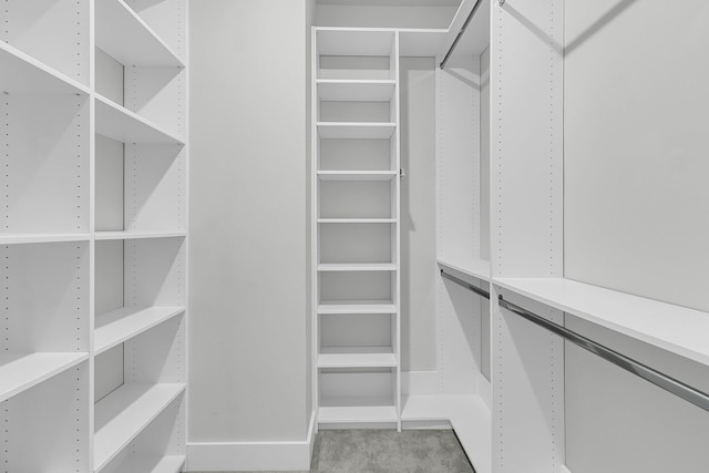 spacious closet with carpet