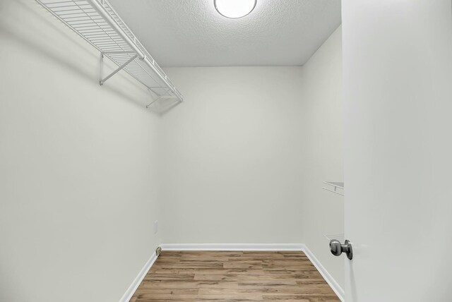 spacious closet with light wood-style flooring