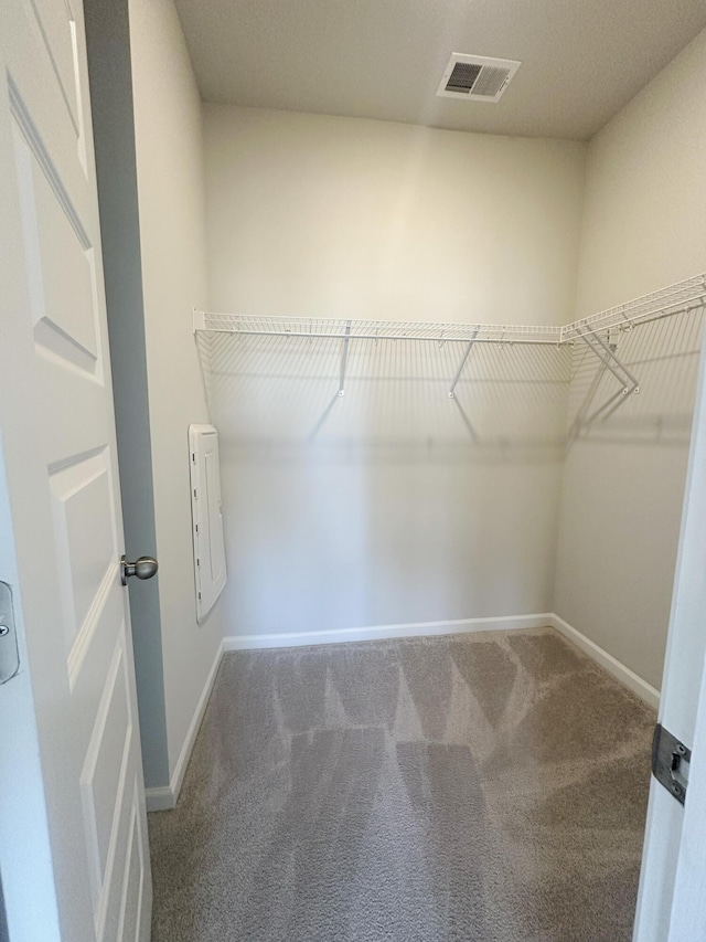 1443 Central Ave, Summerville, SC 29483 - spacious closet featuring carpet flooring