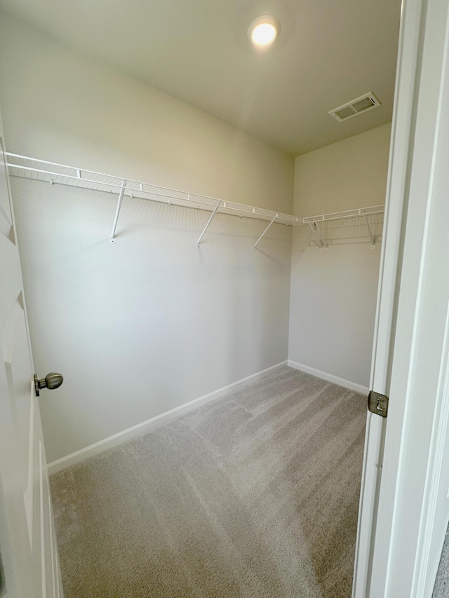 1443 Central Ave, Summerville, SC 29483 - spacious closet with carpet floors