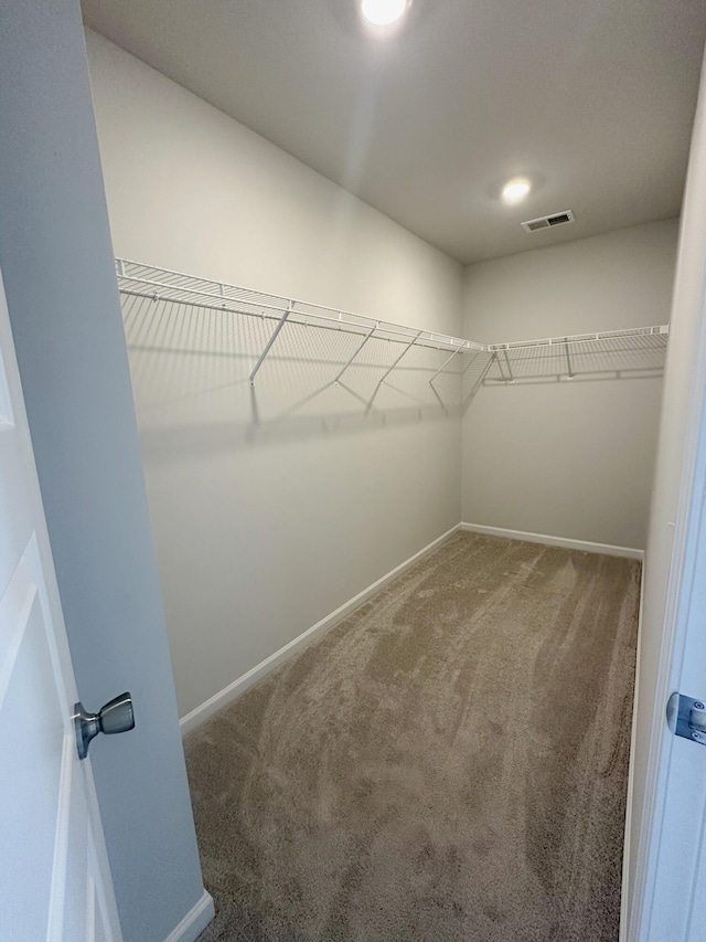 1443 Central Ave, Summerville, SC 29483 - walk in closet featuring carpet flooring