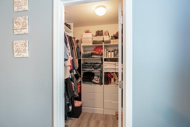 137 Salem Creek Dr, Goose Creek, SC 29445 - spacious closet with wood finished floors
