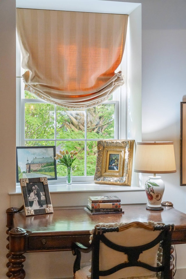 miscellaneous room featuring a wealth of natural light