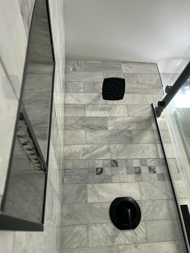 5924 Wagener Rd, Wagener, SC 29164 - bathroom view of tiled shower