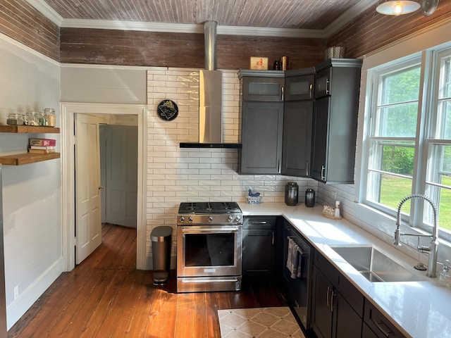 5924 Wagener Rd, Wagener, SC 29164 - kitchen with gas range, a sink, wall chimney range hood, dishwashing machine, and plenty of natural light