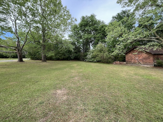 5924 Wagener Rd, Wagener, SC 29164 - view of green lawn