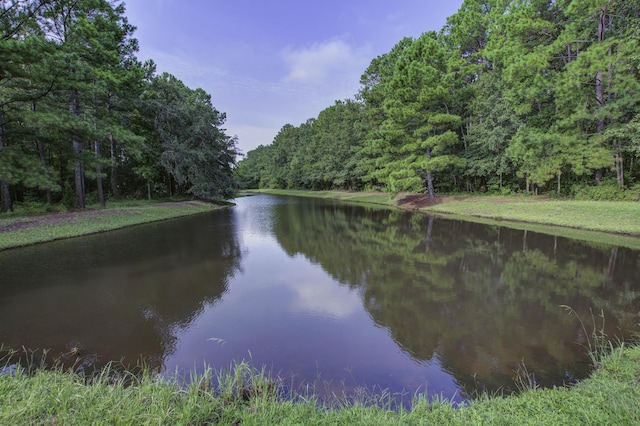 property view of water featuring a view of trees