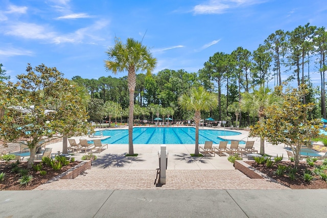 view of pool featuring a patio