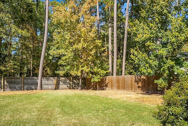 view of yard