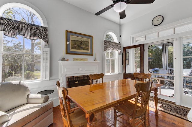 dining area featuring a healthy amount of sunlight, a fireplace, and wood finished floors