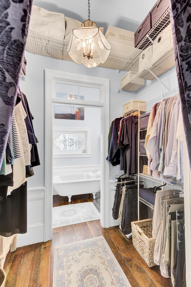 spacious closet with hardwood / wood-style floors