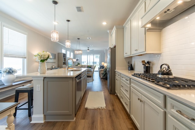 754 Blue Iris Way, Summerville, SC 29486 - kitchen featuring appliances with stainless steel finishes, ventilation hood, a kitchen island with sink, tasteful backsplash, and dark wood-style floors