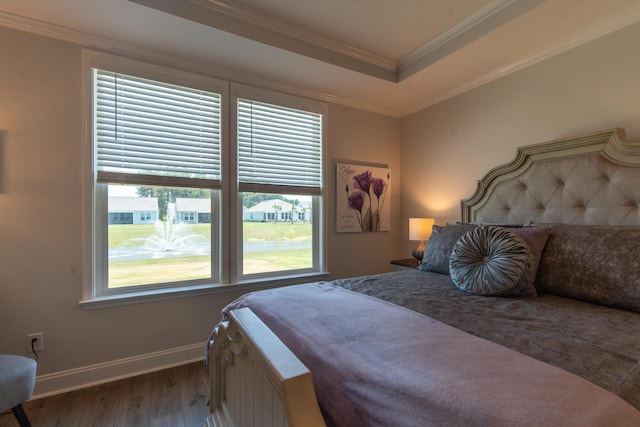 754 Blue Iris Way, Summerville, SC 29486 - bedroom featuring wood finished floors, ornamental molding, and a tray ceiling