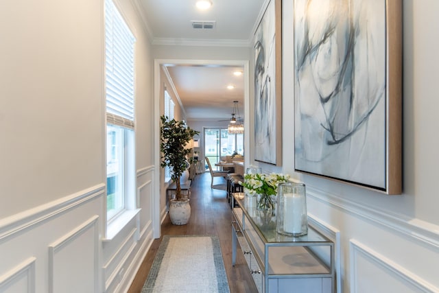 754 Blue Iris Way, Summerville, SC 29486 - corridor featuring ornamental molding, healthy amount of natural light, and dark wood-style floors