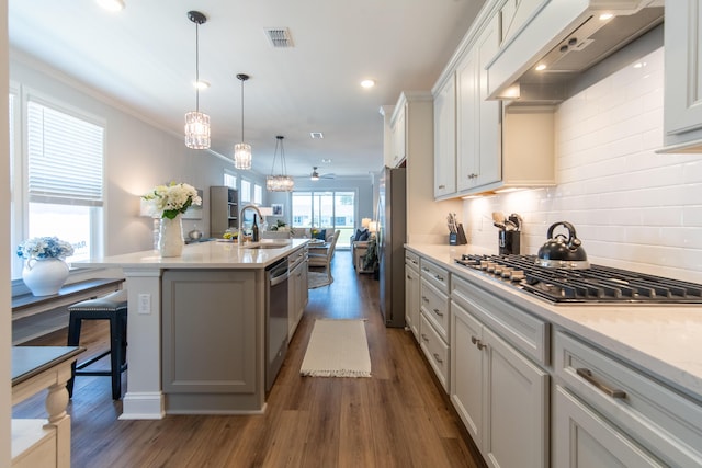 754 Blue Iris Way, Summerville, SC 29486 - kitchen with stainless steel appliances, custom range hood, dark wood-style floors, backsplash, and light countertops