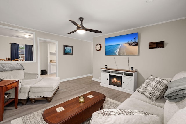 living room featuring ceiling fan, ornamental molding, and light wood-type flooring