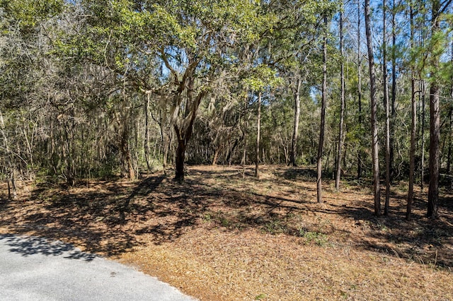 view of landscape featuring a view of trees