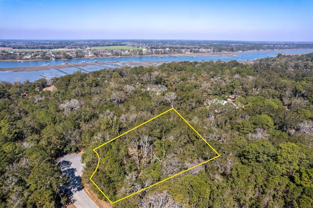 aerial view featuring a water view and a wooded view